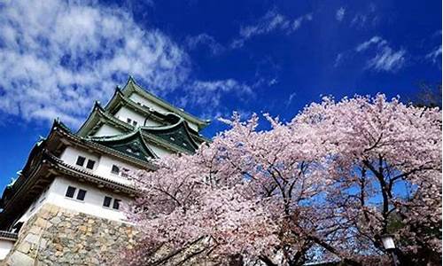 日本旅游必去十大景点_日本旅游必去十大景