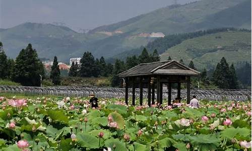 鲤鱼溪_鲤鱼溪风景区