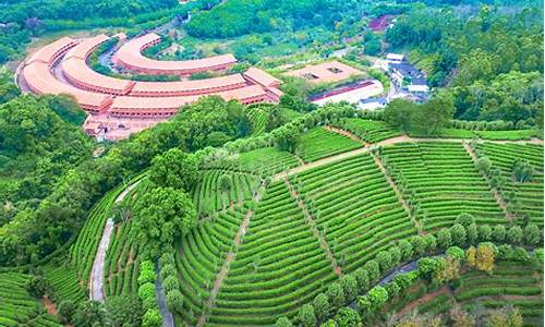 雁南飞茶田度假村_雁南飞茶田度假村酒店价