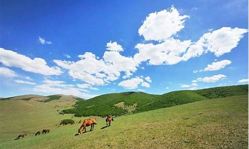 丰宁坝上草原旅游攻略_丰宁坝上草原旅游攻