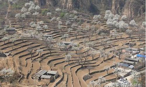 世外桃源小山村_世外桃源小山村龙滕青山