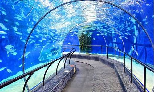 上海海洋水族馆门票团购_上海海洋水族馆门票团购价格