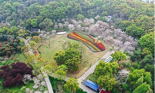 苏州上方山_苏州上方山国家森林公园